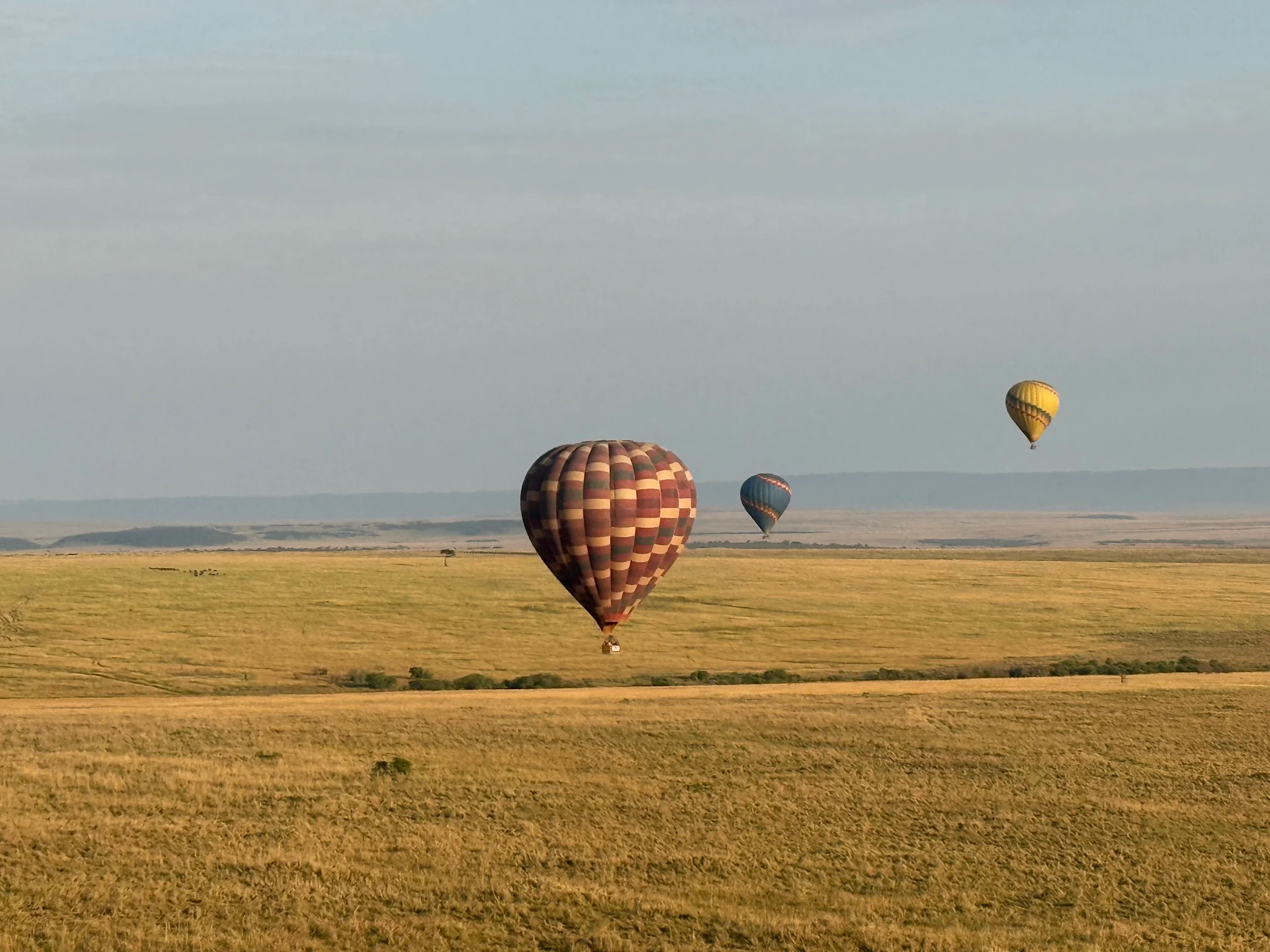 Ballonvlucht boven Masai Mara tijdens safari