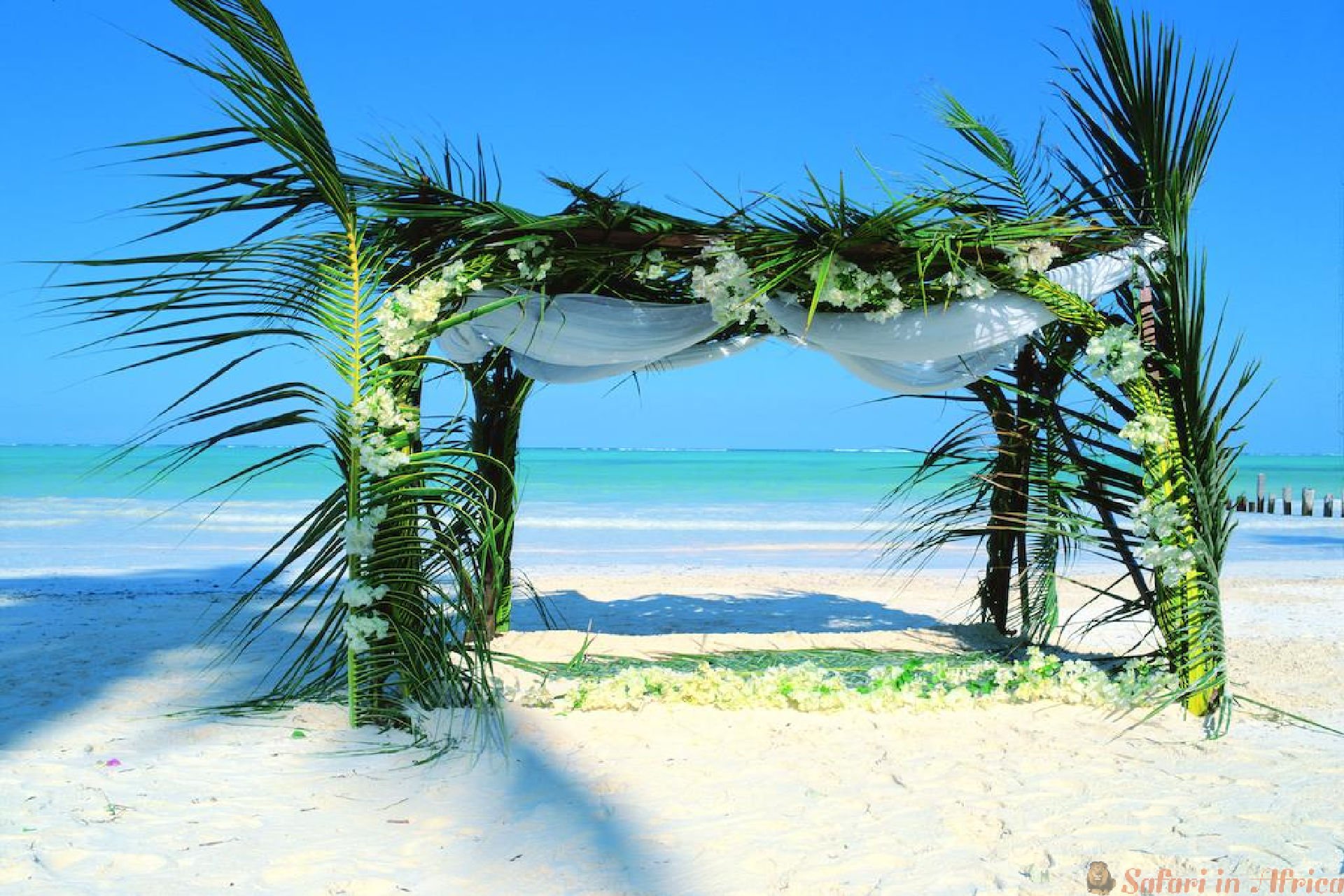 Romantische safari huwelijksreis inspiratie Afrikaans huwelijk als inspiratie voor romantische safari huwelijksreis