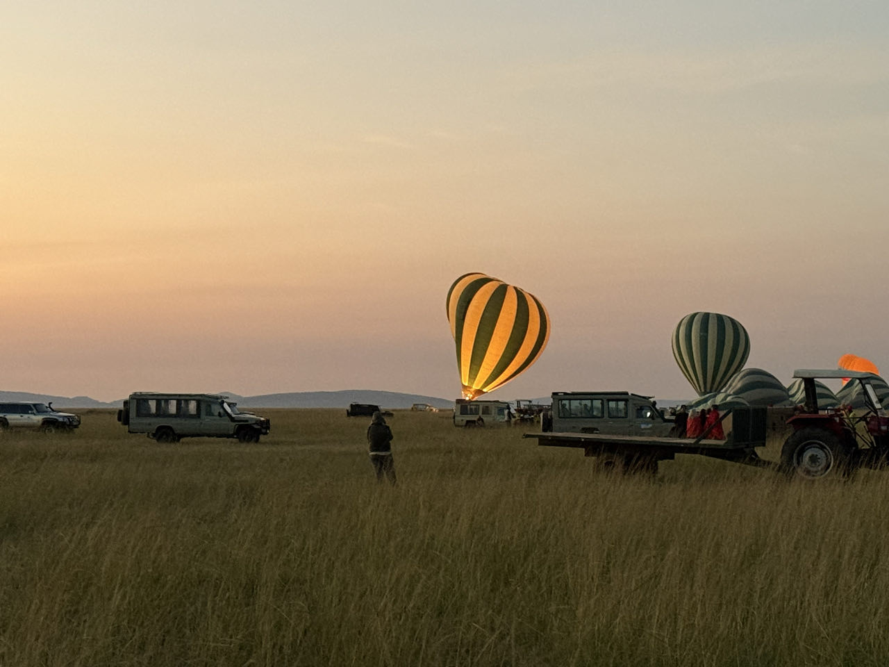 Safari landschap met wildlife in Oost-Afrika