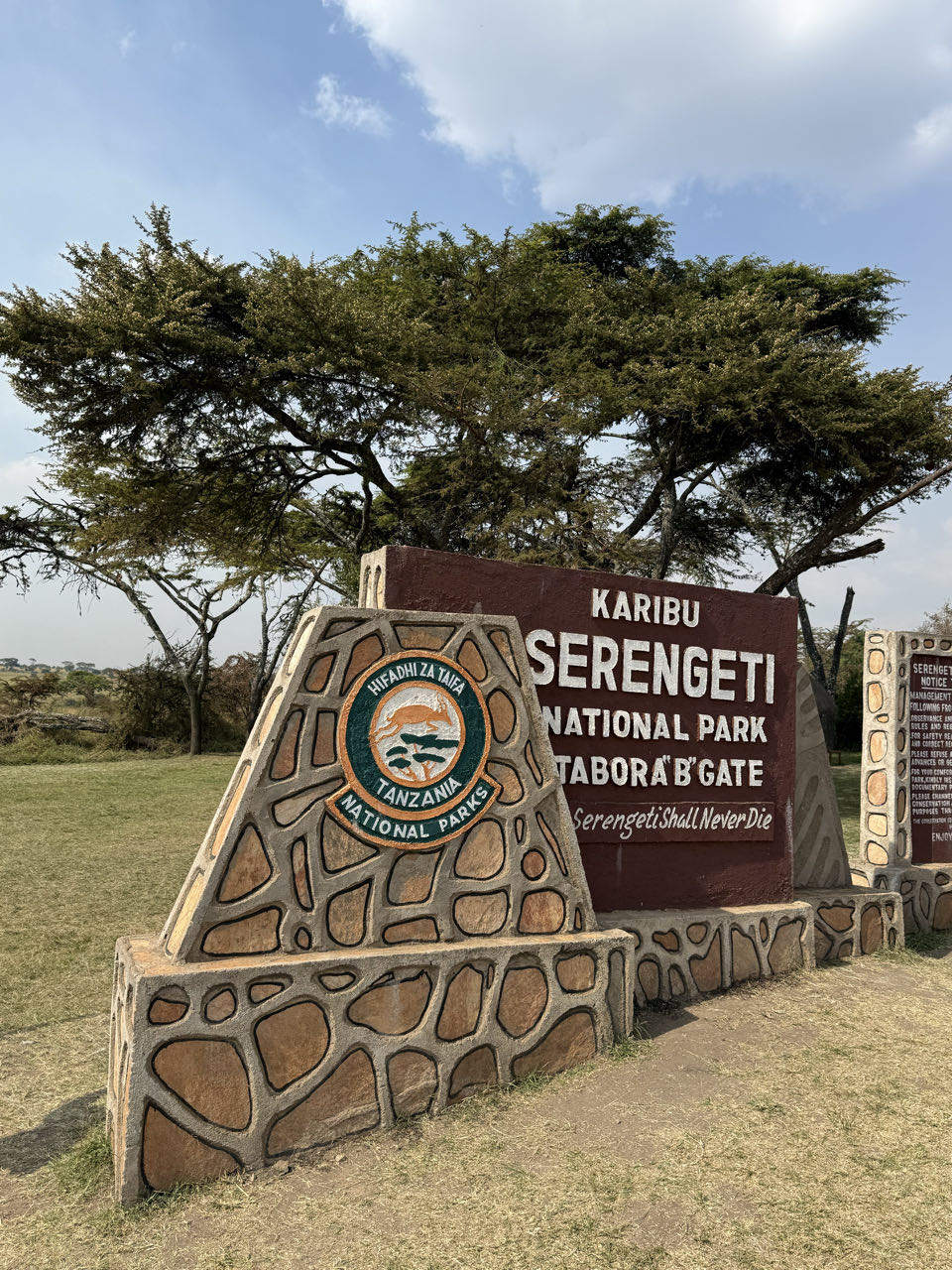 Serengeti safari tijdens safari Tanzania vanaf Zanzibar Serengeti safari tijdens safari Tanzania vanaf Zanzibar