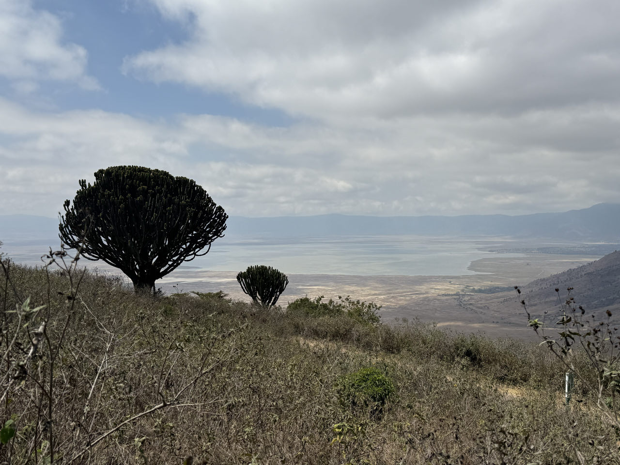 Ngorongoro Crater tijdens safari in Tanzania