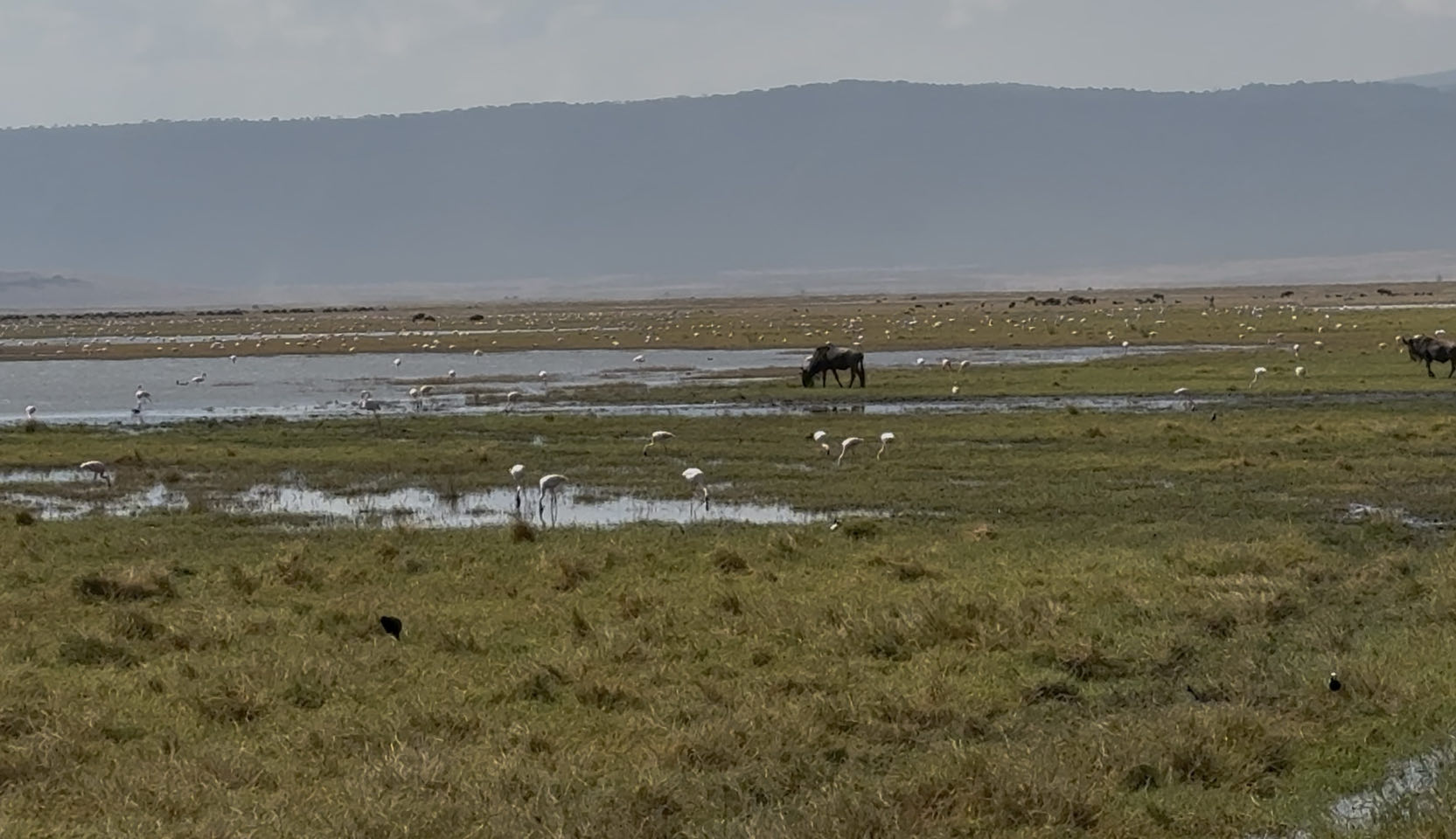 Uitzicht over de Ngorongoro Krater