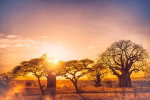 6 Dagen Tanzania Aventure Safari