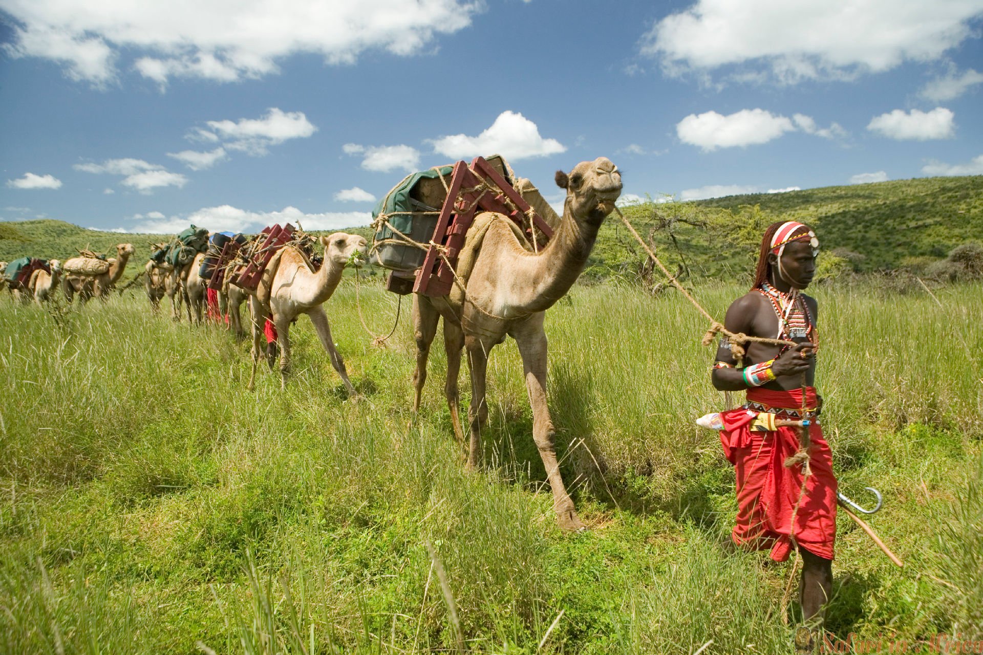 Paklijst safari met kamelen en Masai in Kenia