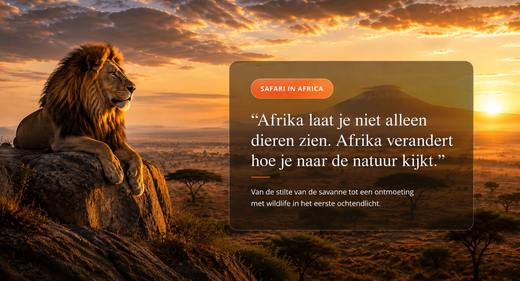 Leeuw kijkt uit over de Afrikaanse savanne tijdens zonsopkomst met inspirerende Safari in Africa quote
