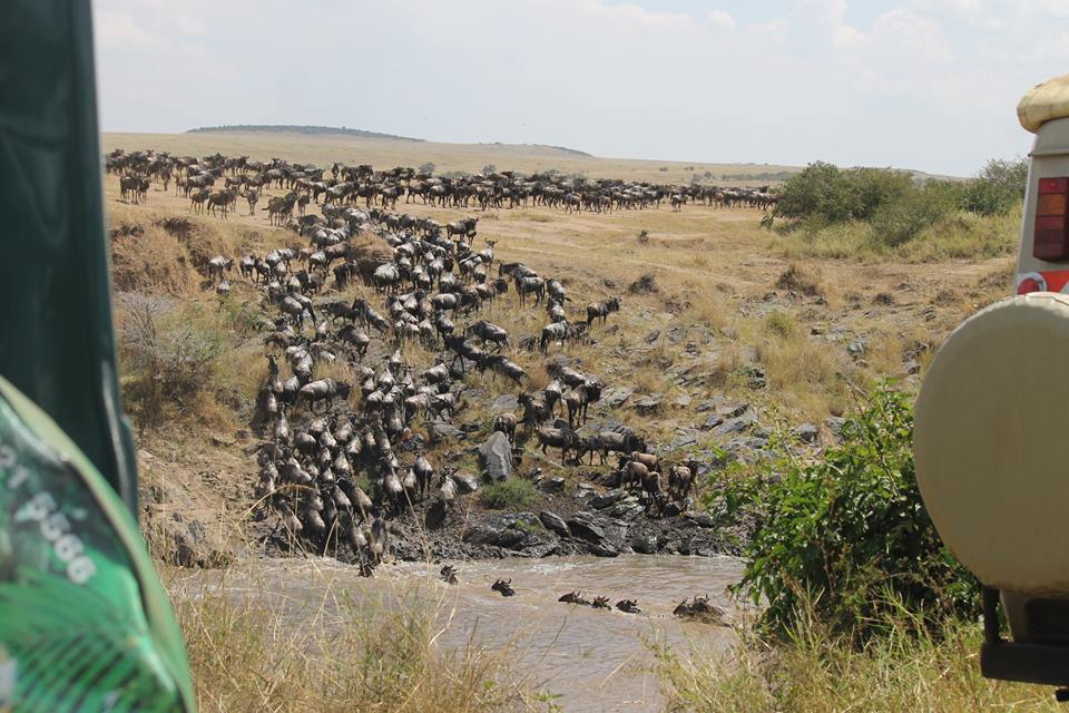 Grote migratie combineren met safari Tanzania Grote migratie combineren met safari Tanzania
