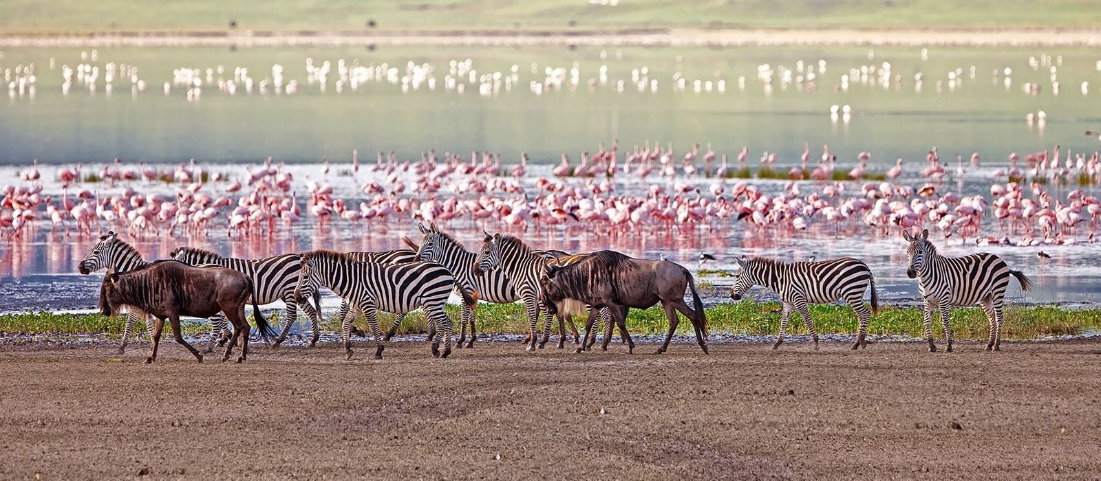 Lake Manyara tijdens een korte safari in Tanzania Lake Manyara tijdens een korte safari in Tanzania