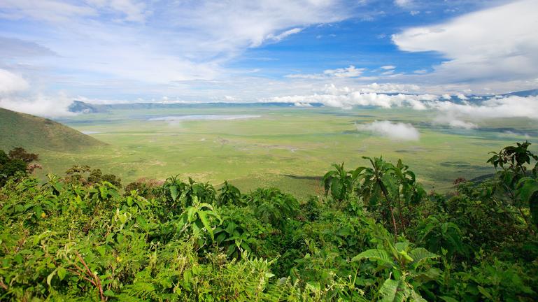Safari landschap Ngorongoro